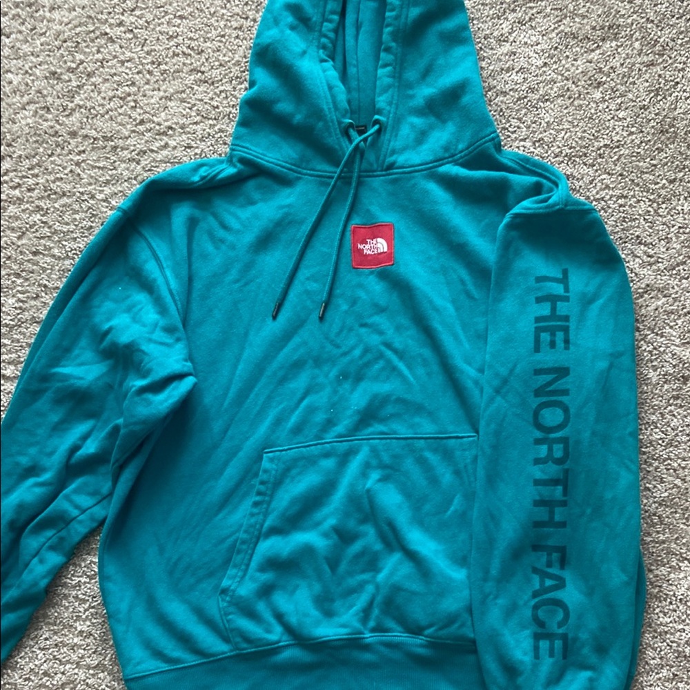 The North Face Men's Teal Hoodie